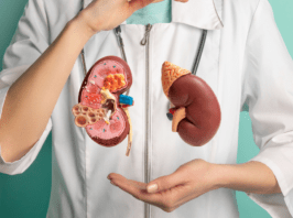 kidney function test